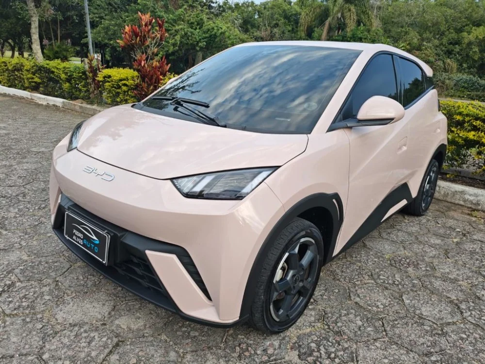 BYD Dolphin Mini (Elétrico)